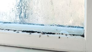 Comment éviter la condensation sur les fenêtres