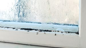 Moisissure à Partir De Condensation Sur Le Coin Des Murs Dans La